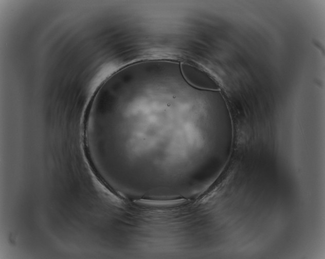 X0000093221471200710031430