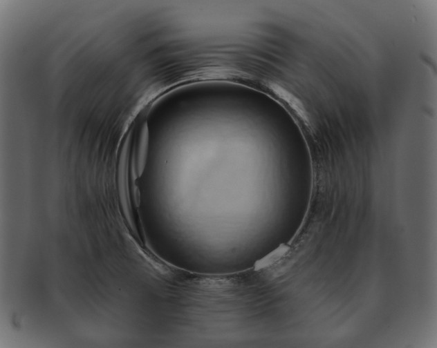 X0000093221473200710031430