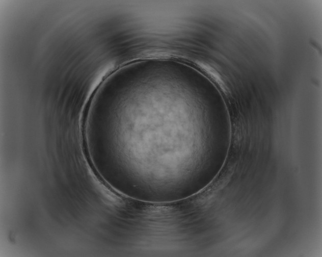 X0000093221475200710031430