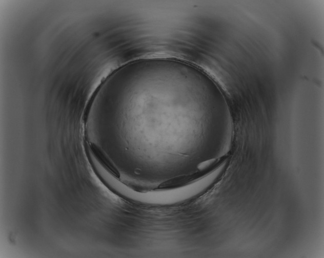 X0000093221476200710031430