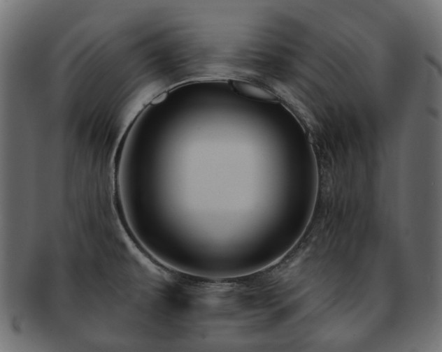 X0000093221479200710031430