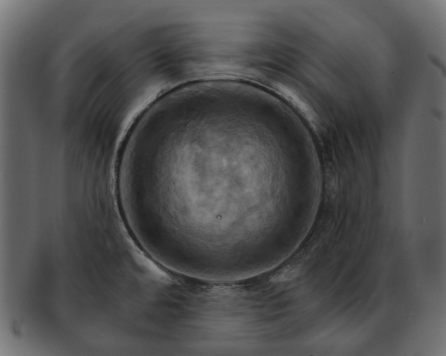 X0000093221480200710031430