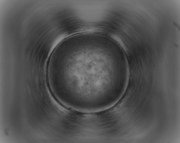 X0000093221483200710031430