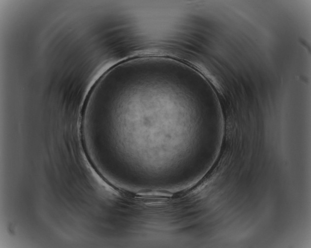 X0000093221484200710031430