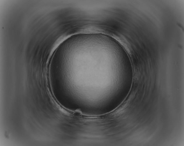 X0000093221486200710031430