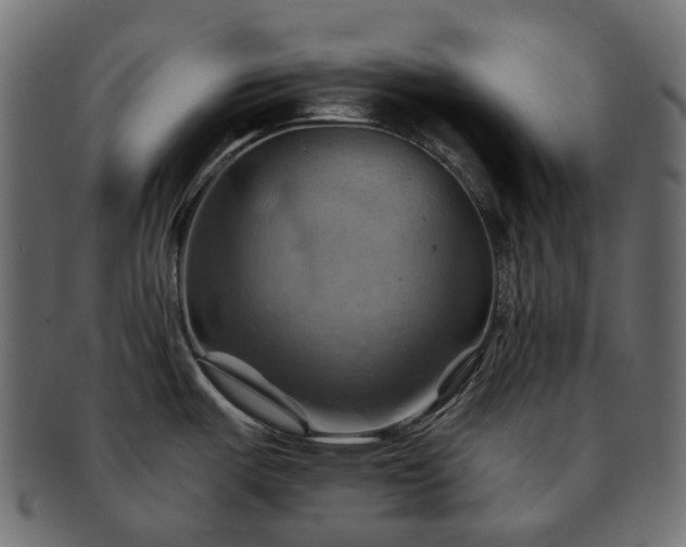 X0000093221487200710031430