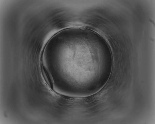 X0000093221488200710031430