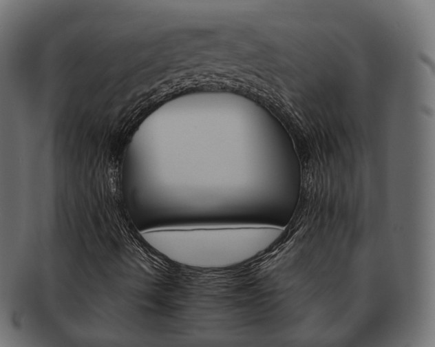 X0000093221490200710031429