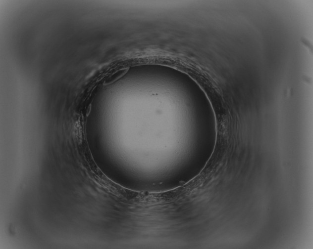 X0000093221493200710031429