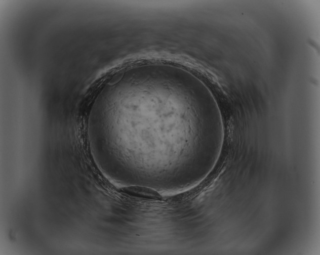 X0000093221494200710031429