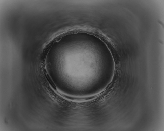 X0000093221496200710031429