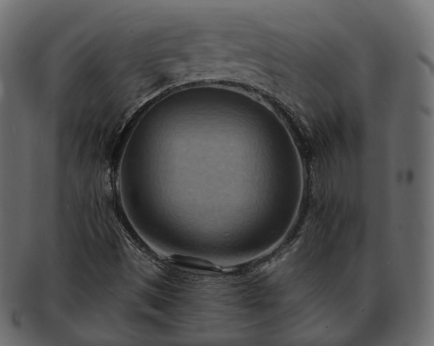 X0000093221497200710031429