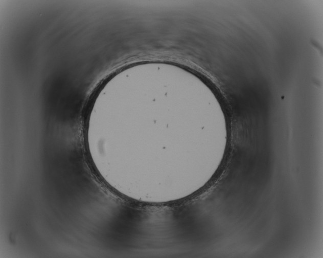 X0000093221498200710031429