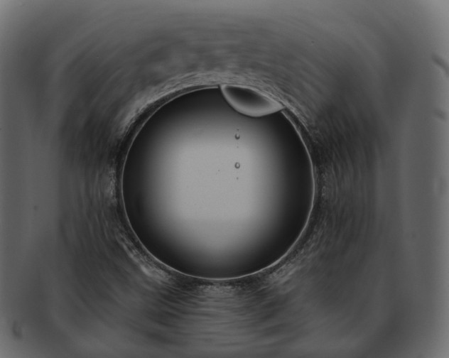 X0000093221499200710031429