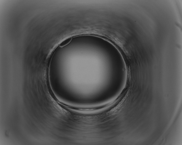 X0000093221500200710031429