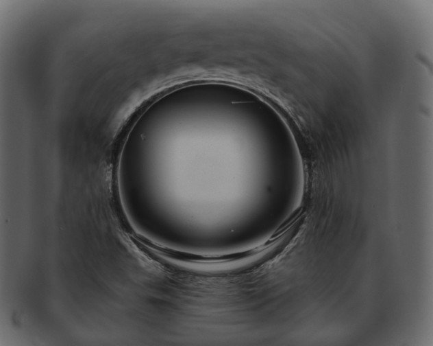 X0000093221503200710031429