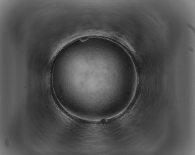 X0000093221504200710031429