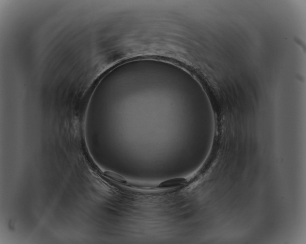 X0000093221505200710031429