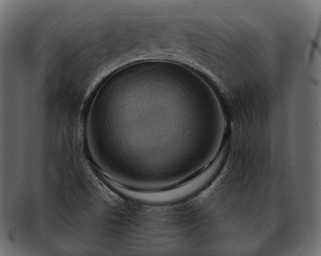 X0000093221506200710031429