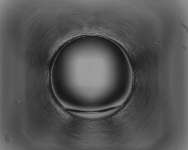 X0000093221507200710031429