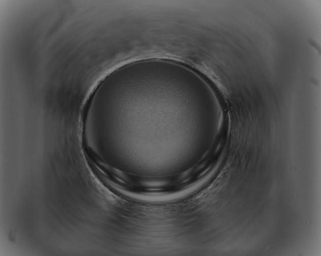 X0000093221508200710031429