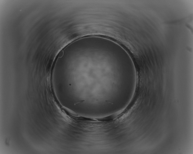 X0000093221513200710031430