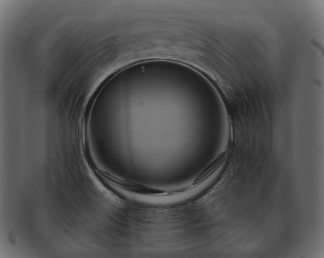 X0000093221515200710031430