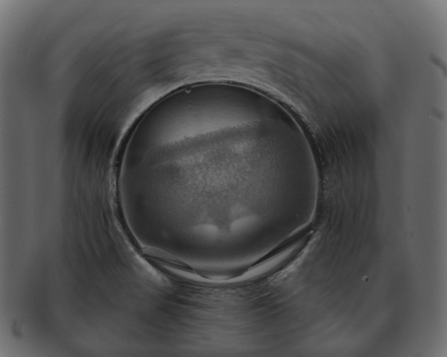 X0000093221517200710031430