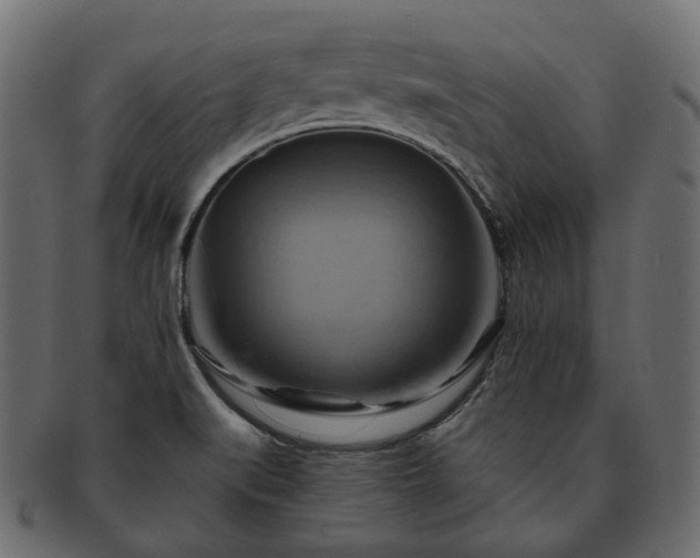 X0000093221519200710031430