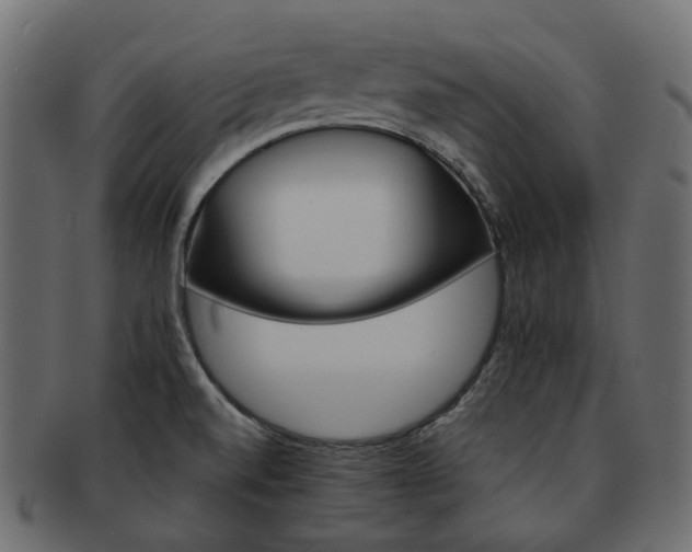 X0000093221520200710031430