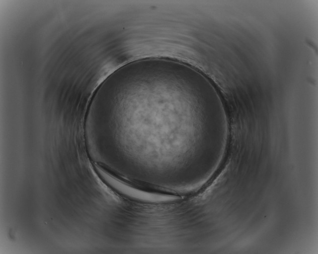 X0000093221521200710031430