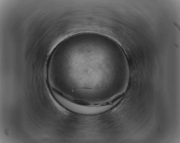 X0000093221523200710031430