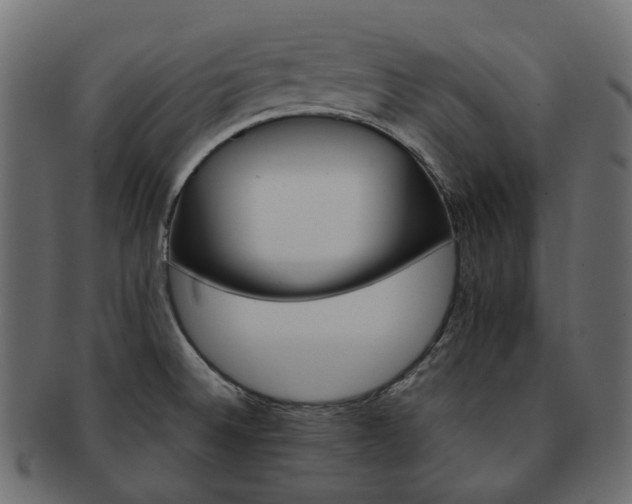 X0000093221524200710031430