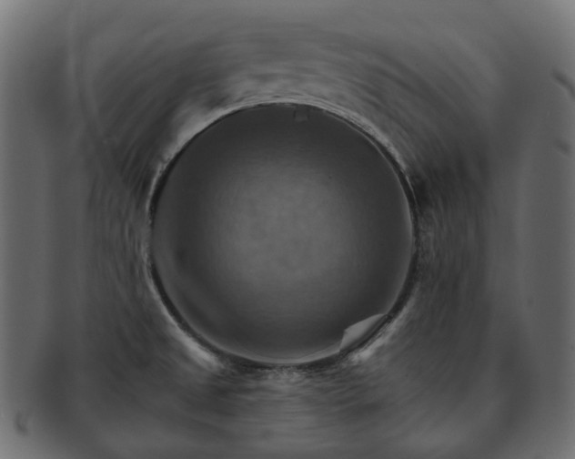 X0000093221525200710031430