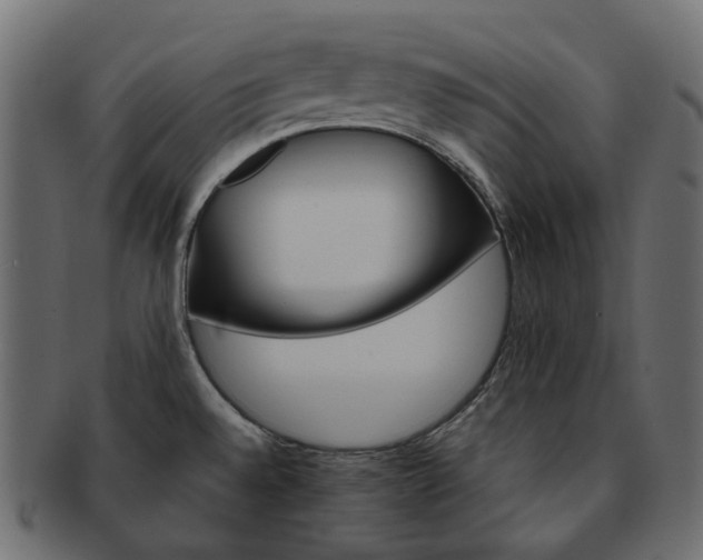 X0000093221528200710031430