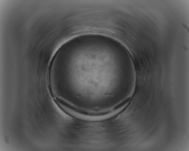 X0000093221531200710031430