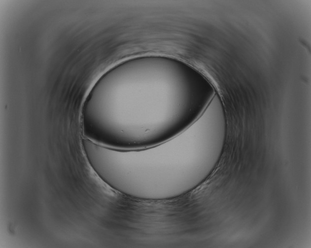 X0000093221532200710031430