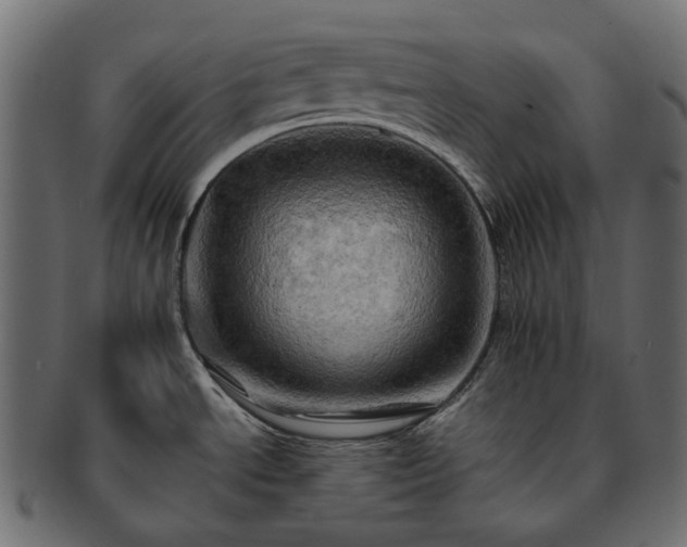 X0000093221534200710031430