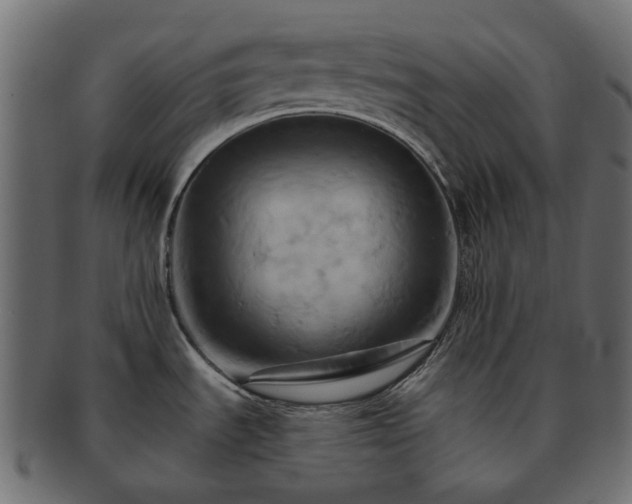 X0000093221535200710031430