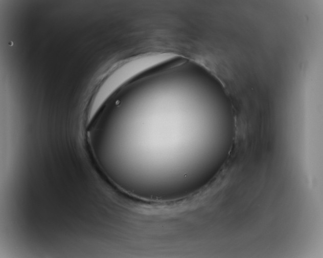 X0000093220005200710101353