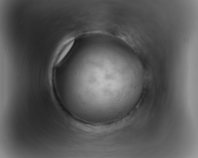 X0000093220006200710101353