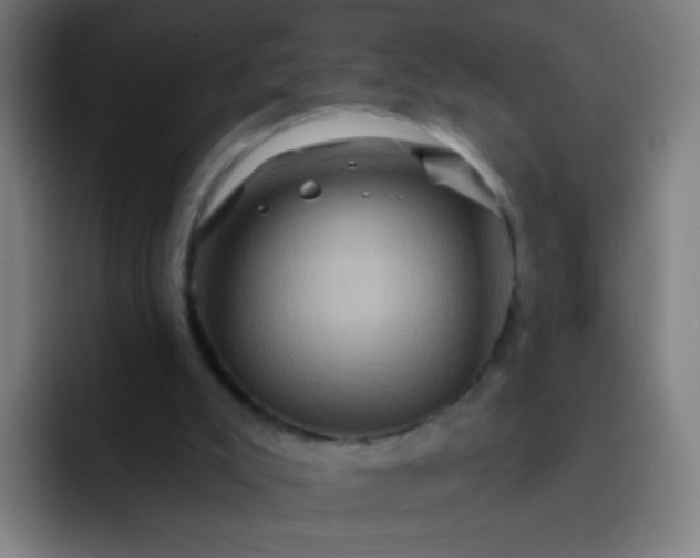 X0000093220007200710101353