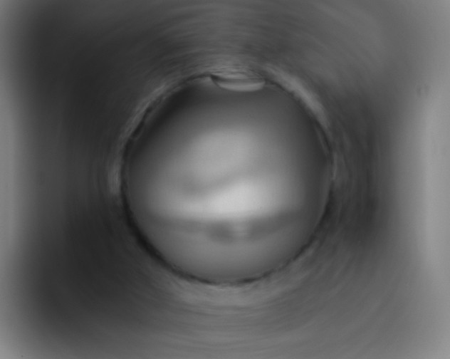 X0000093220010200710101353