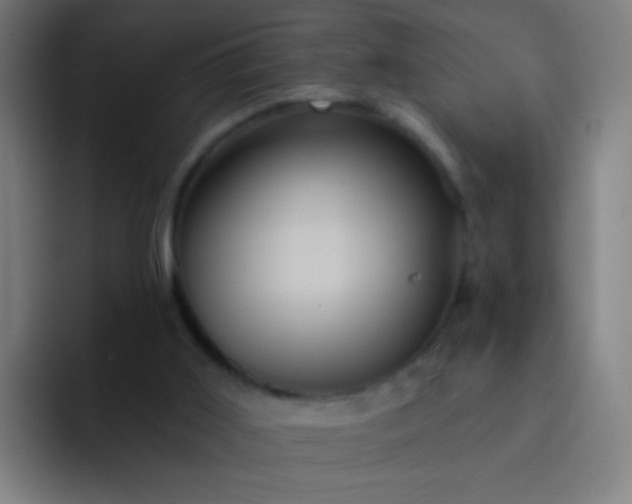 X0000093220011200710101353