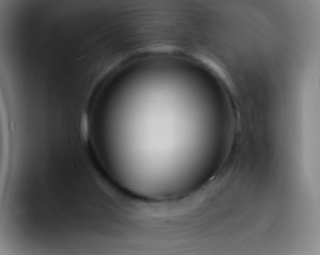 X0000093220013200710101353