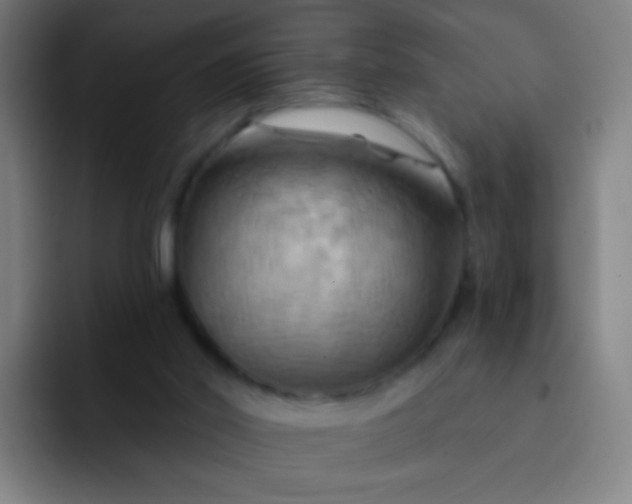 X0000093220014200710101353