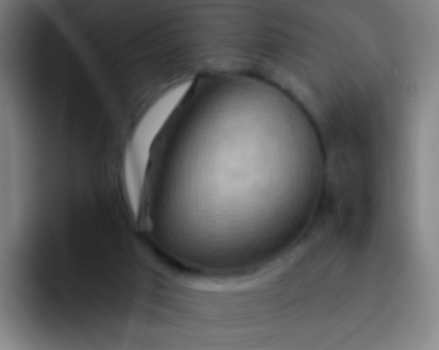 X0000093220017200710101353