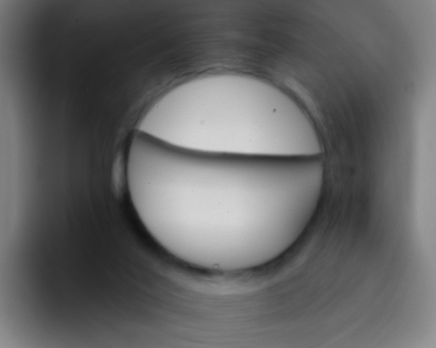 X0000093220020200710101353