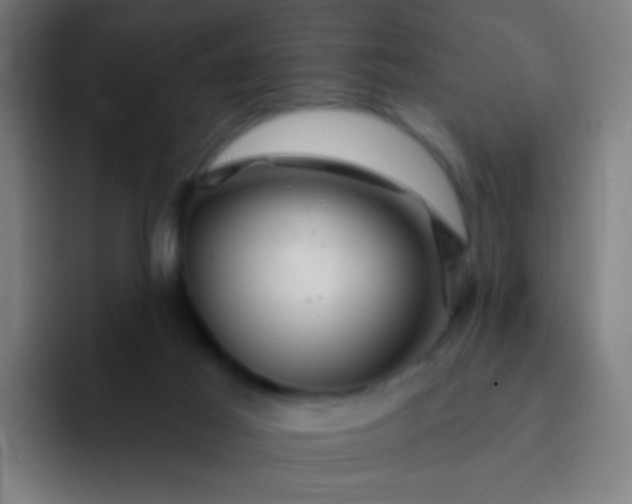 X0000093220021200710101353