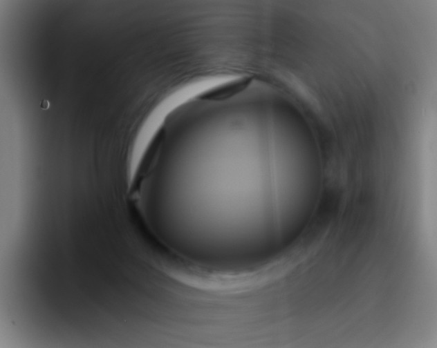 X0000093220027200710101353